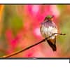 TELEVISOR LED