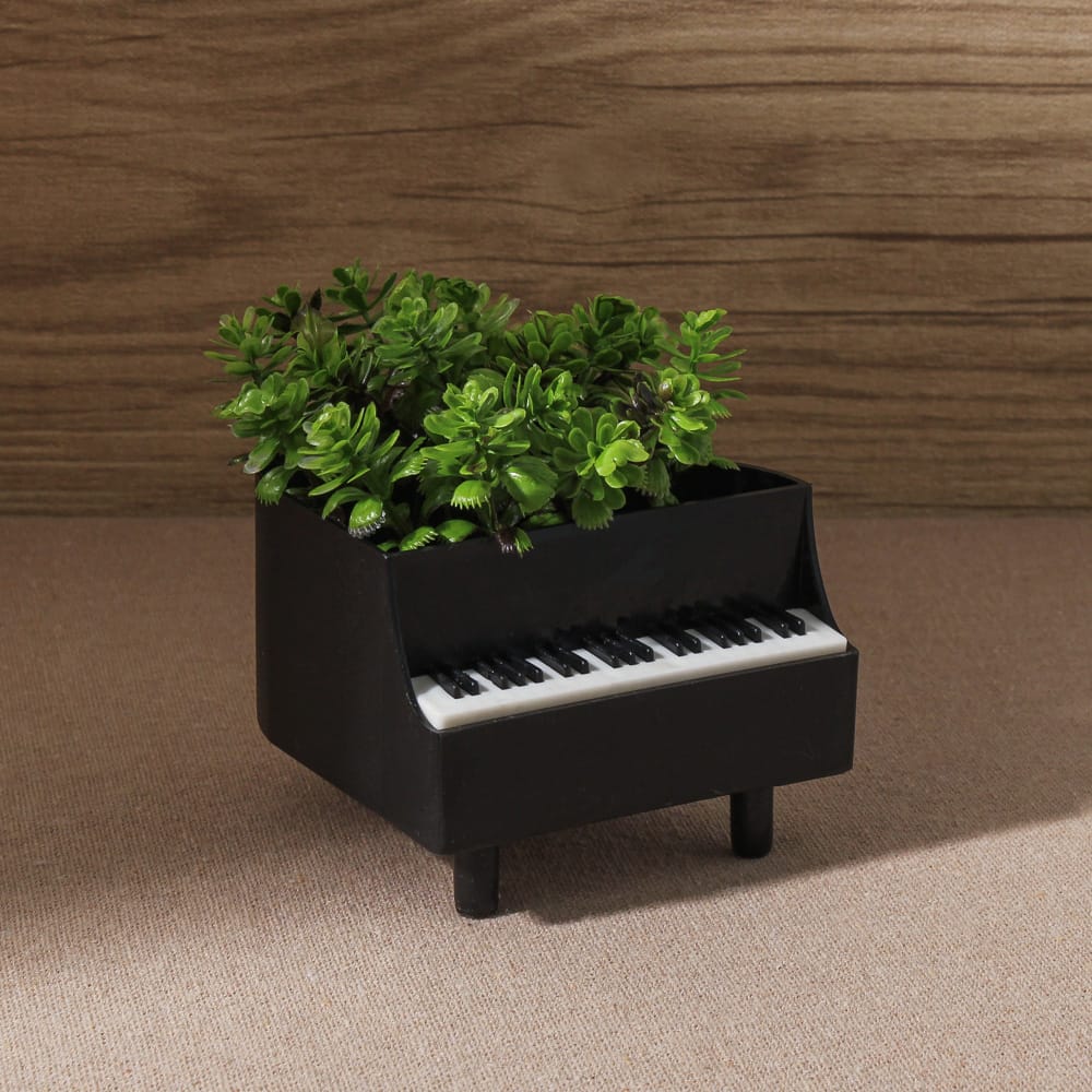 Planta Decorativa Piano