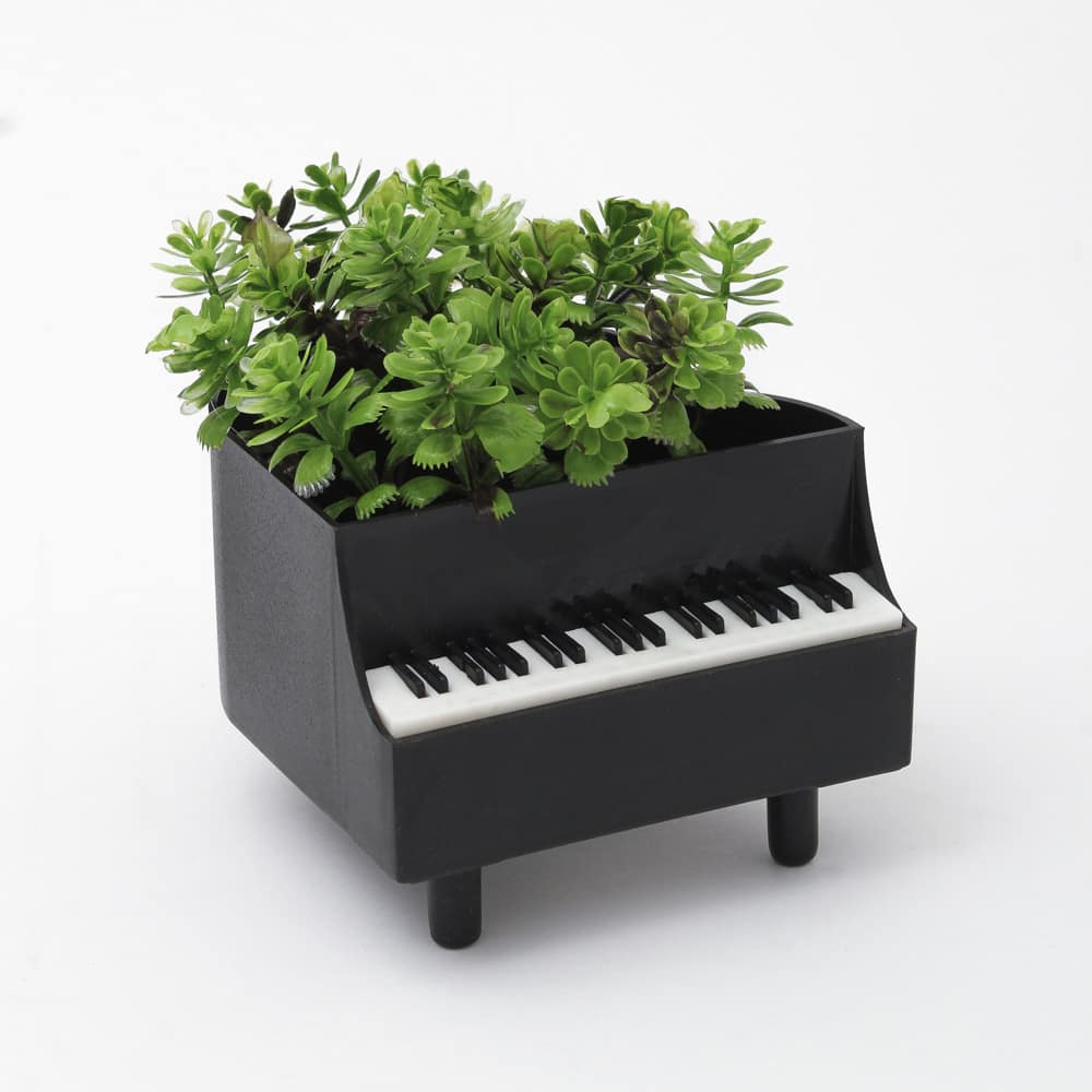 Planta Decorativa Piano - Imagen 2