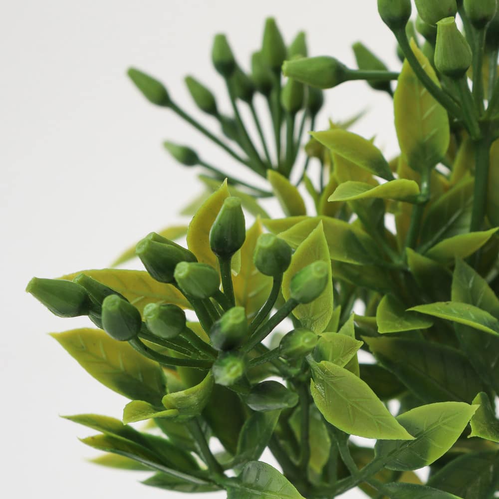 Planta Decorativa Maceta 3×3 - Imagen 2