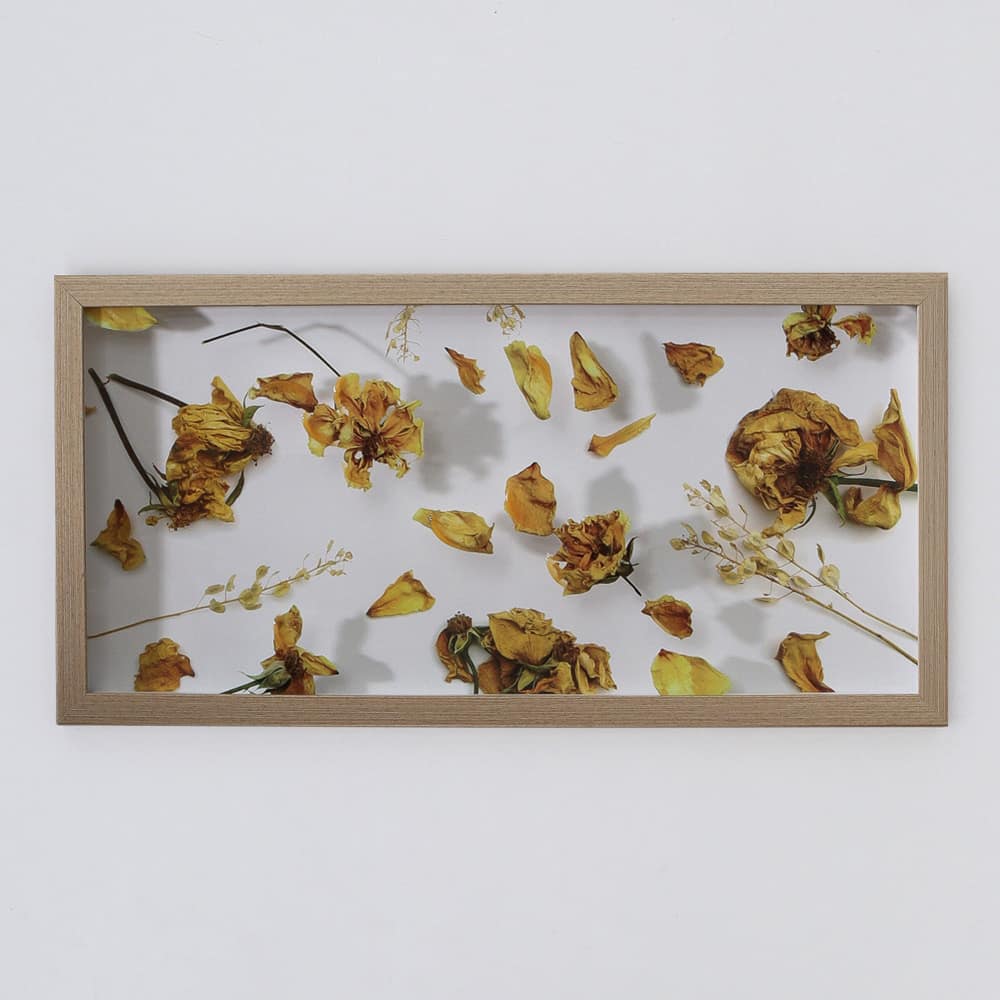 Cuadro 3D 51×25,5 - Imagen 3