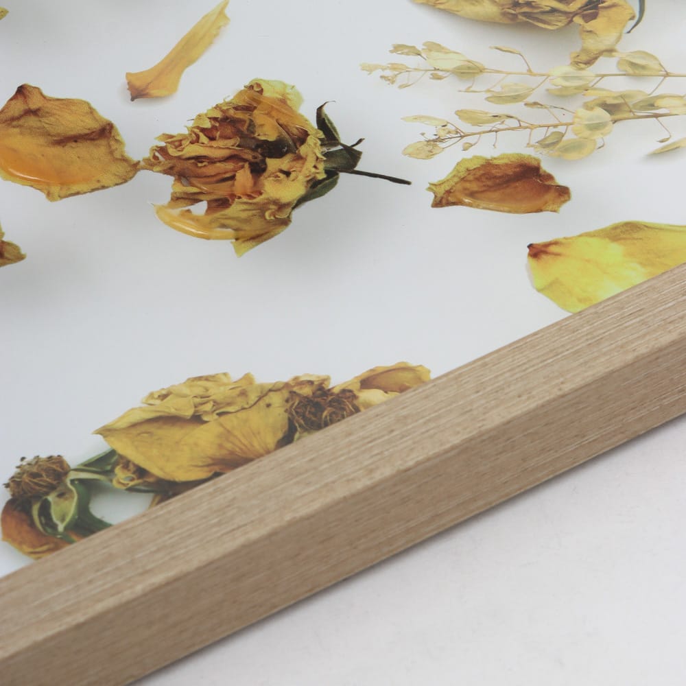 Cuadro 3D 51×25,5 - Imagen 2