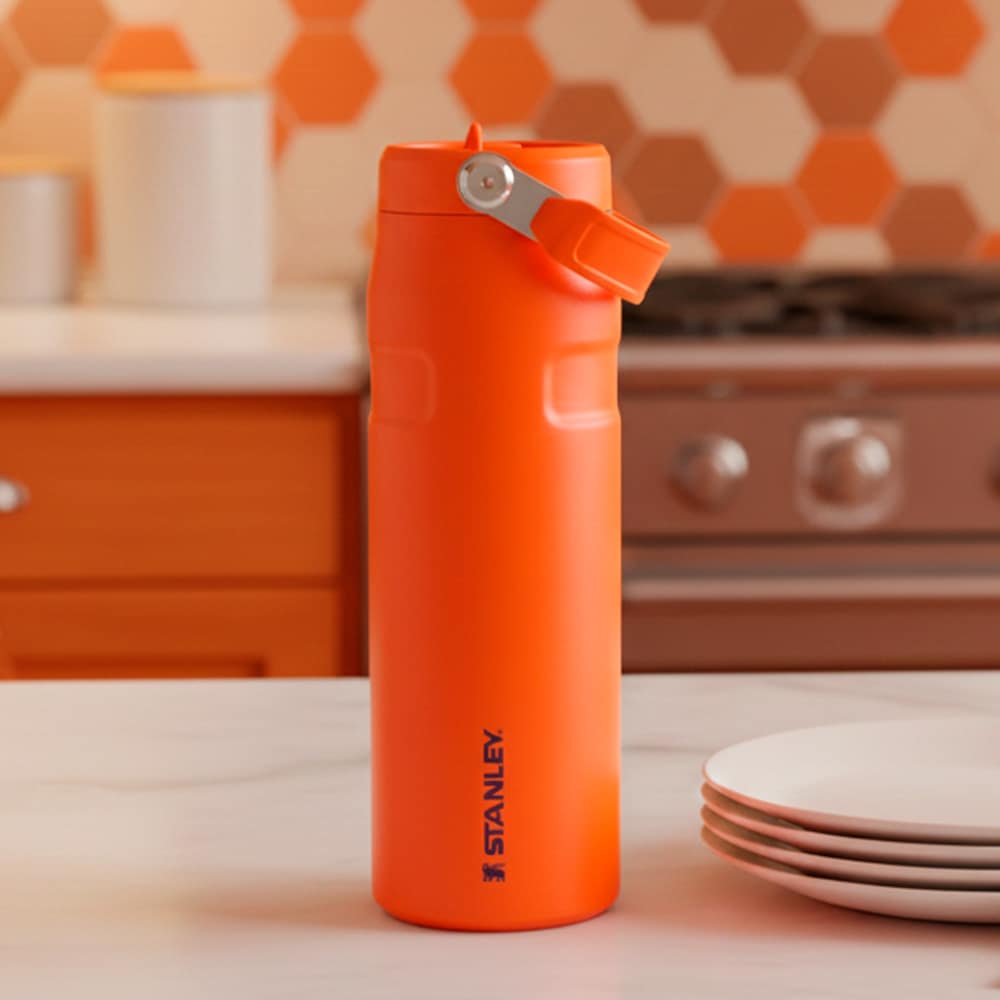 BOTELLA STANLEY AEROLIGHT 24 OZ TIGERLILY