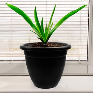 MACETA PARA PLANTA 35CM PLASTICA NEGRA 51