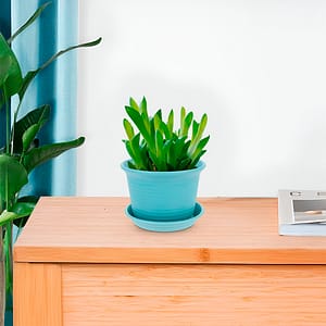 MACETA PLASTICA 11CM COLORES SURTIDO 7901