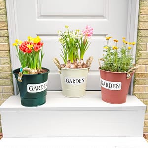 MACETERO METALICO TIPO BALDE DIAMETRO 13CM GMRBK37