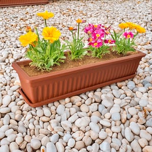 MACETERO PLASTICO RECTANGU 71X21X15CM 8007 LH-3900