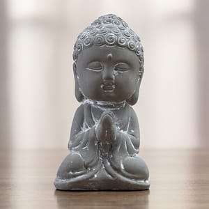 Buda Monk – Diseño 2