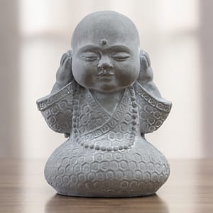 Buda Baby No Escucho