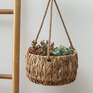 Maceta Colgante HY Mediana