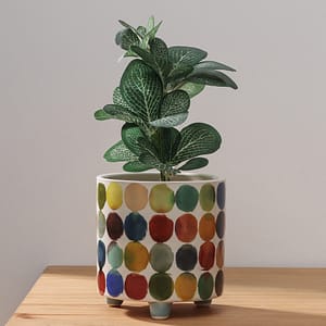 Maceta Con Patas Diseños Chica