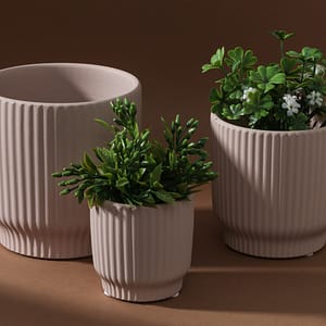 Maceta Acanalada Grande