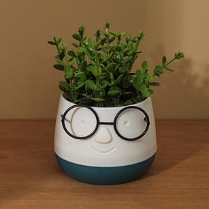 Planta Decorativa Con Lentes