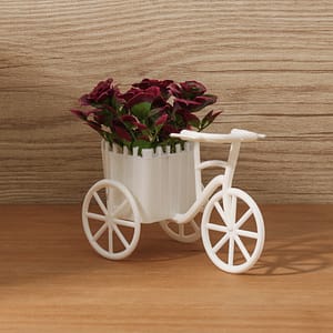 Planta Decorativa Bicicleta
