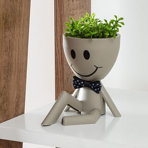 Planta Decorativa Smile