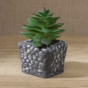 Planta Decorativa En Maceta