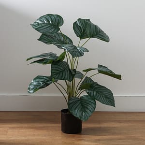 Planta Decorativa 70