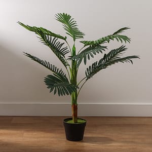 Planta Decorativa 13