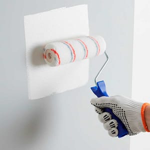 RODILLO ANTIGOTEO 9″ LH-2286