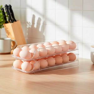 ORGANIZADOR PLASTICO PARA HUEVOS EGGDB20