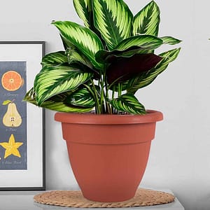 MACETA PARA PLANTA 35CM PLASTICA TERRACOTA 51