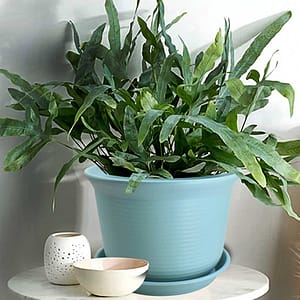 MACETA PLASTICA 21CM COLORES SURTIDO 7906