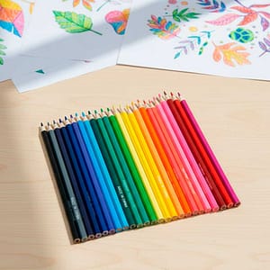 LAPICES DE COLORES 24 UNIDADES LH-4495