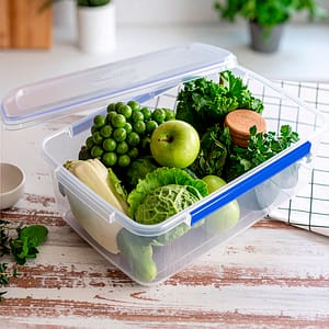 RECIPIENTE RECTANGULAR C/TAPA E01YZ