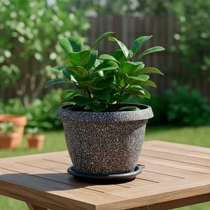 MACETERO PLASTICO C/PLATO 320X230CM D2006P-