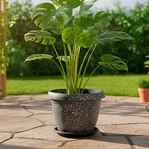 MACETERO PLASTICO C/PLATO 360X260CM D2007P-