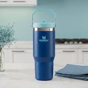 VASO STANLEY FLIP STRAW TUMBLER 20 OZ LAPIZ