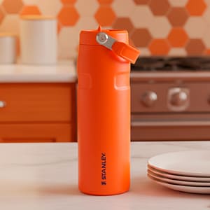 BOTELLA STANLEY AEROLIGHT 24 OZ TIGERLILY