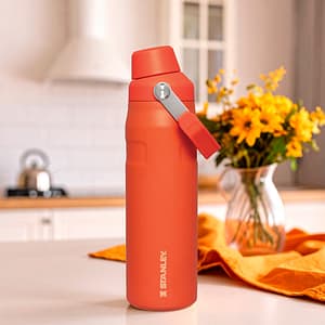 BOTELLA STANLEY AEROLIGHT ICEFLOW 24 OZ TIGERLILY