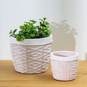 Maceta Cemento Grande