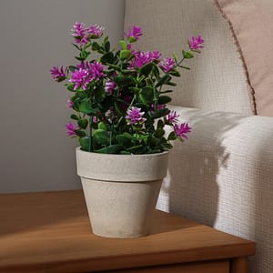 Planta Decorativa Floral