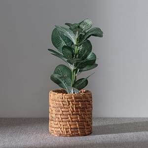 Plantita Decorativa En Maceta