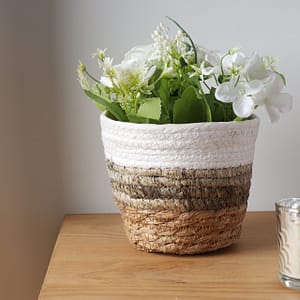 Canasto 3 Comb 22×20