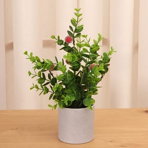 Planta Decorativa GR