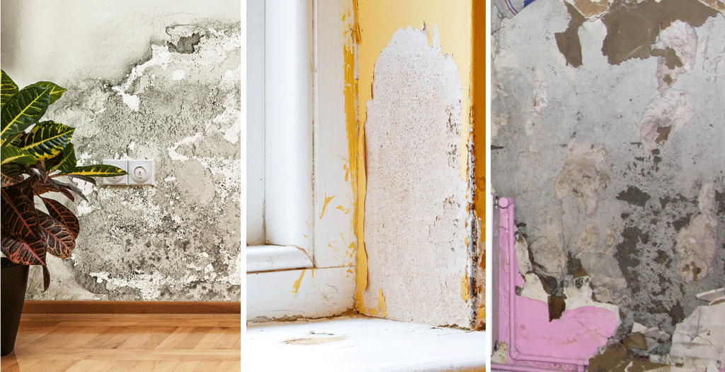 Ejemplos de diferentes tipos de humedad en la vivienda